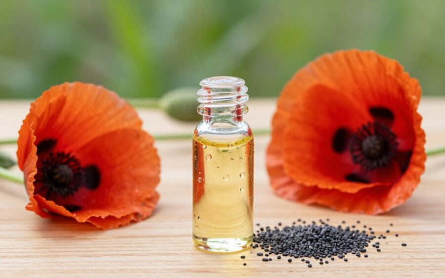 Olej makowy właściwości lecznicze – odkryj jego zdrowotne korzyści